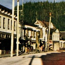 Wrangell Alaska Pioneer Town Tlinget Vintage Original Postcard 3495 picture