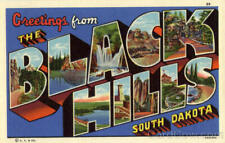 Greetings from The Black Hills,SD Large Letter South Dakota Linen Postcard picture