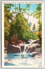 Bottomless Pools Western North Carolina Waterfall Forest Vintage UNP Postcard picture