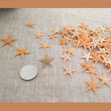 Tiny Size Dried Real Starfish Flat Sea Star Ornament Crafts Decorations 25 pcs picture