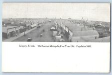 Gregory South Dakota SD Postcard Rosebud Metropolis Four Years Old 1909 Vintage picture