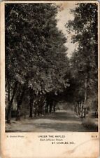 1915. UNDER THE MAPLES. E. JEFFERSON ST. ST CHARLES, MO. POSTCARD. RC13 picture