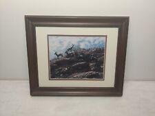 MOUNTAIN GOATS in the Desert Photograph Framed picture