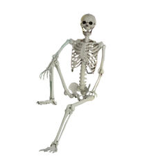 6.07ft Halloween Skeleton Human Skull Full Life Size Holiday Tricky Haunted Prop picture