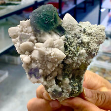 315G Natural transparent blue green cubic fluorite mineral crystal sample/China picture