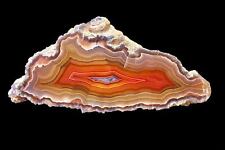 Laguna Agate From Mexico Collectors Grade Tight Banding Parallax and High Contr picture