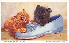 # B3107     ANIMAL    POSTCARD,   CATS picture