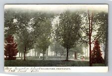 Chautauqua NY-New York, Miller Park Vintage Souvenir Postcard picture