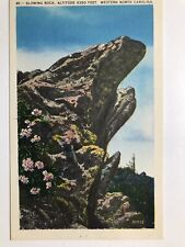 1940 Blowing Rock Western North Carolina Postcard picture