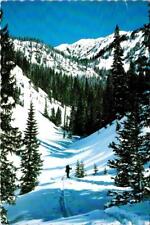 Dillon, CO Colorado  SKI TOURING On GORE RANGE  Skiing~Skiers  4X6 Postcard picture