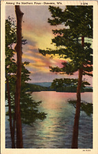 Shawano,WI Wisconsin -Among The Northern Pines-Posted Linen picture