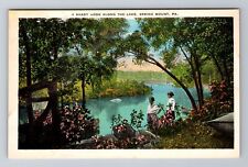 Spring Mount PA- Pennsylvania, Shady Nook Along The Lake, Vintage Postcard picture