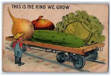 c1910's Farmer Exaggerated Vegetables Train Wagon Unposted Antique Postcard picture