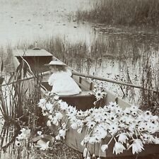 Antique 1899 Rowboat In The Florida Everglades Stereoview Photo Card V3244 picture