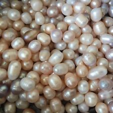1000g Natural freshwater pearl specimen picture