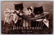 Postcard Bosom Friends Cute Kittens in a Wicker Basket c1902 CE Bullard M181 picture