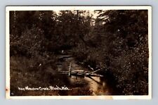 Atlanta MI-Michigan RPPC, Hay Meadow Creek Scenic View, Vintage Postcard picture