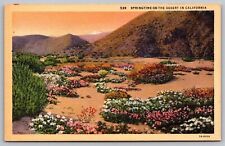 Springtime Desert California Mountains Flowers Floral Linen Vintage UNP Postcard picture