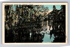 Leesburg FL- Florida, Looking East, Helena Run, Antique, Vintage c1942 Postcard picture
