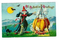 c1910 Halloween Postcard Witch Brewing Potion in Pumpkin, Black Cat, Bats picture