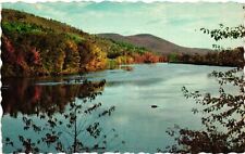 Vintage Postcard- Androscoggin River, Rumford Point, Maine. 1960s picture