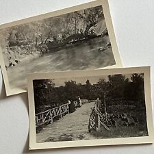 Antique B&W Snapshot Photograph Women On Bridge Nature Peaceful Beauty picture