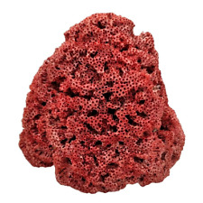 Rare Vintage Red Pipe Organ Coral Specimen ~  8