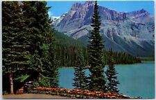VINTAGE POSTCARD VIEW OF EMERALD LAKE AND MICHAEL PEAK YOHO NAT'L PARK CANADA picture