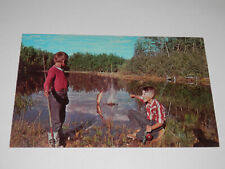 MONROETON PA - 1950'S ERA POSTCARD - BOYS FISHING - GREETINGS picture
