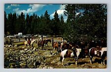 Grand Teton National Park, Horseback Riding At Jenny Lake, Vintage Postcard picture