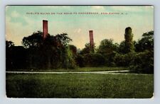 Phelp's Ruins, Mansion Fire, Tall Chimneys Vines New Jersey Vintage Postcard picture