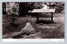 IL-Illinois, The Wishing Well, Scenic State Park, Vintage Postcard picture