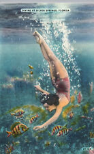 Florida Postcard Woman Diving at Silver Springs FL Unused Linen Fish Underwater picture