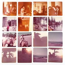 Vintage Found Square Color Snapshot Lot 1970s Horse Dog Mexico Beach Boat B3534 picture