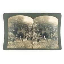 Plymouth Connecticut House Garden Stereoview c1902 Antique Home Photo Card A1890 picture