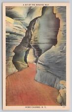 A Bit of the Winding Way Howe Caverns Underground Caves New York NY Postcard picture