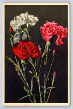 Vintage Postcard Floral German 1951 Post Card   picture