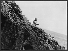 HOLLYWOOD GRETA GARBO ACTRESS SWIMMING AT THE BEACH VINTAGE ORIGINAL PHOTO picture