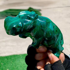 464G Natural glossy Malachite  Crystal  Handcarved hippo mineral sample picture
