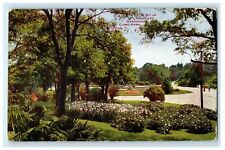 1911 Landscape Gardening, Como Park, St Paul MN Antique Postcard picture