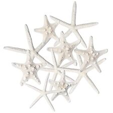 Starfish Decor 10 Pack Assorted Star Fish 26 Inch Starfish For Crafts White Star picture
