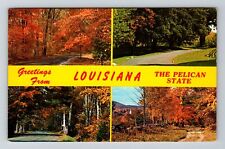 LA-Louisiana Greetings, Colorful Scenic Roadway Vintage Souvenir Postcard picture
