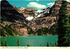 Vintage Postcard 4x6- Lake O'Hara, Mount Lefroy, Glacier Peak, Y Posted 1960-80s picture