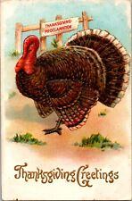 Thanksgiving Turkey Pardon 1910s Vintage Embossed Unposted Postcard Divided  picture