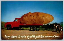 Arco, Idaho - They Claim to Raise Sizeable Potatoes - Vintage Postcard - Posted picture