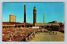 Chicago IL-Illinois, South Side Chicago Stock Yards, Antique Vintage Postcard picture