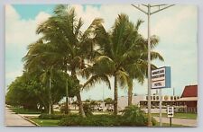 Postcard Margate Florida Coconut Palms Along Margate Boulevard picture