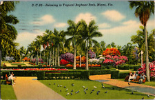 Vintage 1940s People Sitting on Benches, Bayfront Park Miami Florida FL Postcard picture