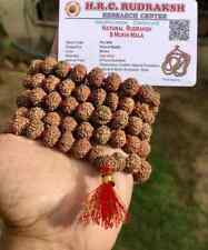 LAB CERTIFIED Rare 8 Mukhi RUDRAKSHA Rudraksh Mala ROSARY 108+1 Prayer Beads picture