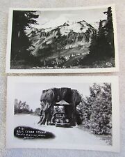 Pacific Highway Washington Mt Baker Cedar Stump Real Photo Photograph Postcards picture